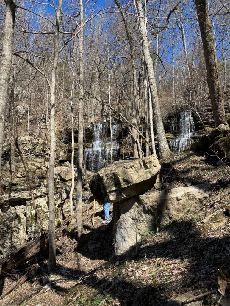 Bethel Springs Nature Preserve 02.29.20 Bethel Springs NALT Steve