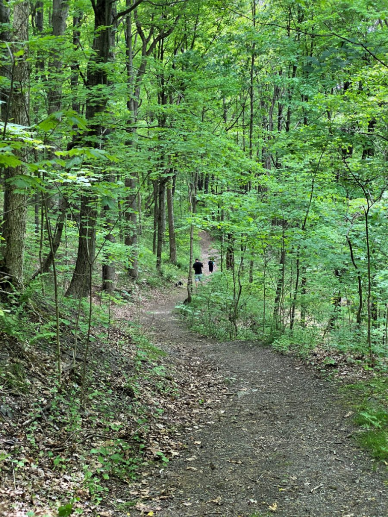 Brush Creek Park in Beaver County Pennsylvania Steve Jones Great Blue