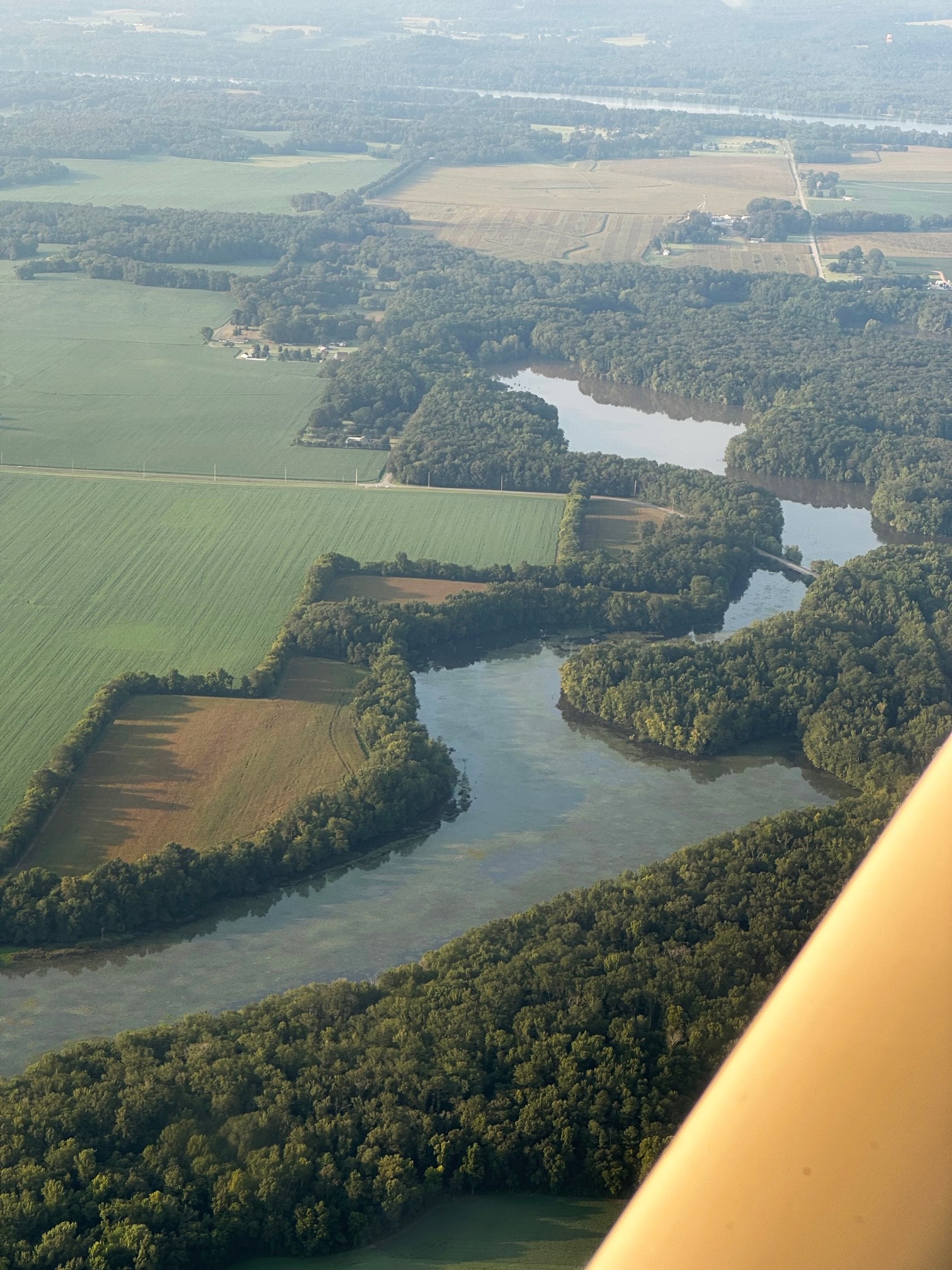 IMG_9971 (3).jpg 08.20.23 7.27 AM Beaverdam Creek Upstream of Limestone