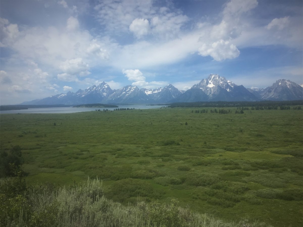Yellowstone National Park Greater Yellowstone Ecosystem! Steve Jones