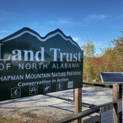 Chapman Mountain Forest Preserve