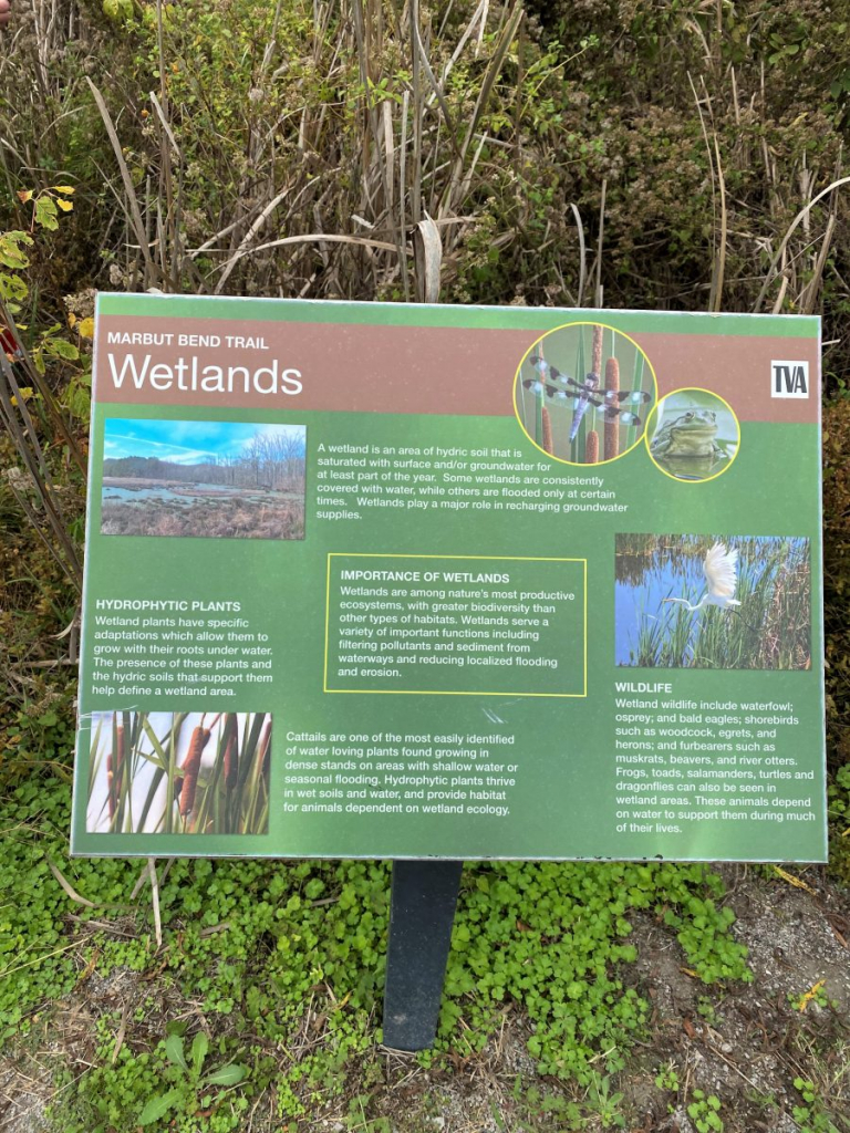 Marbut Bend TVA Preserve 10.26.20 Wetlands Sign - Steve Jones Great ...