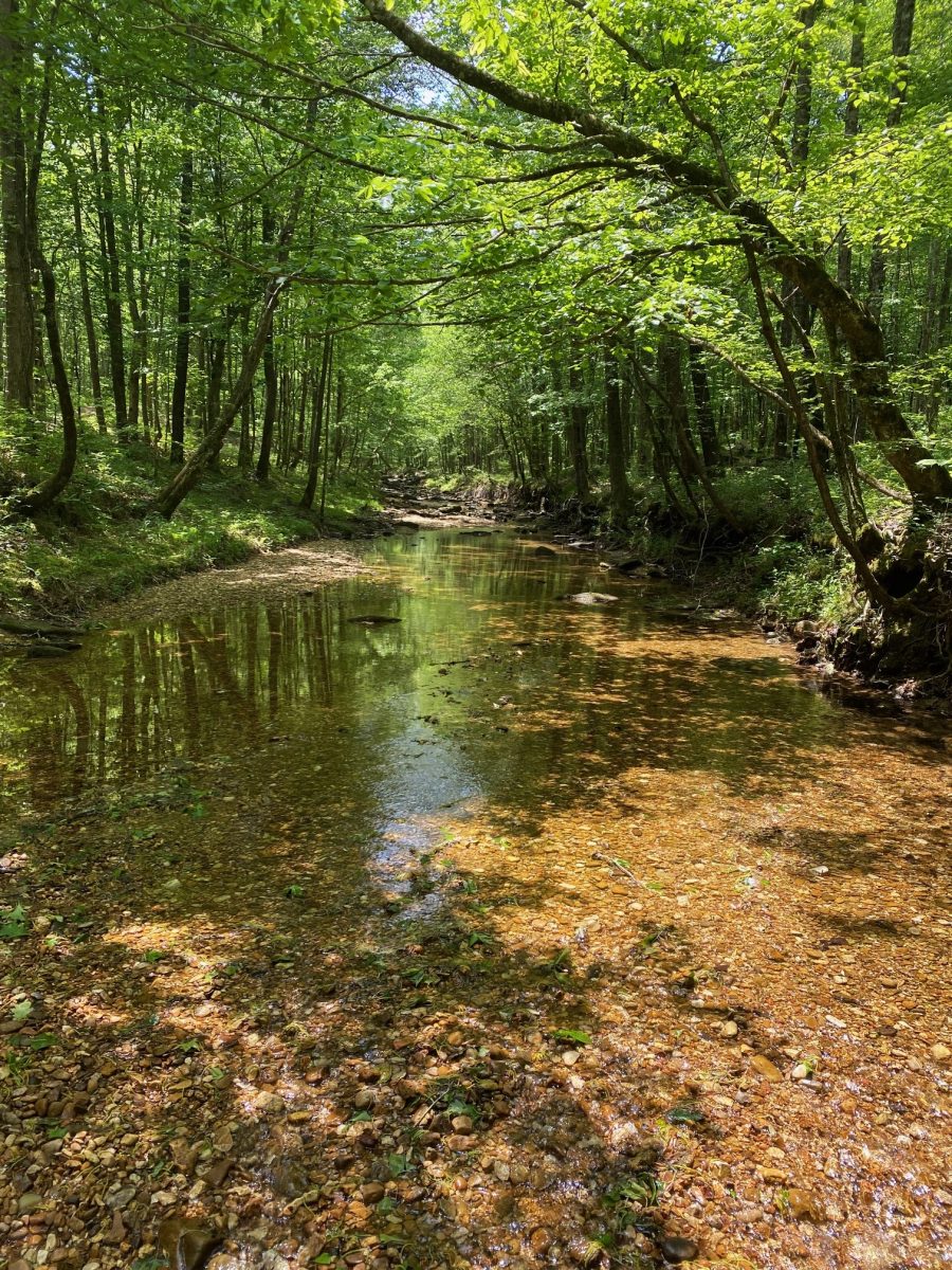 May 2023 Exploration in Cane Creek Canyon Nature Preserve - Steve Jones