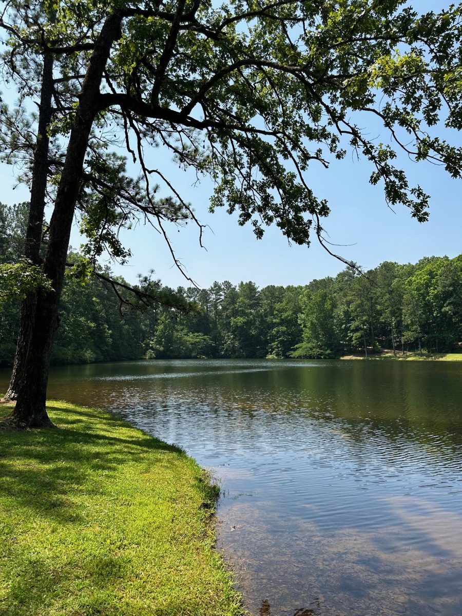 Three Lake Jewels on the 1,600Acre Belcher Property Addition Oak
