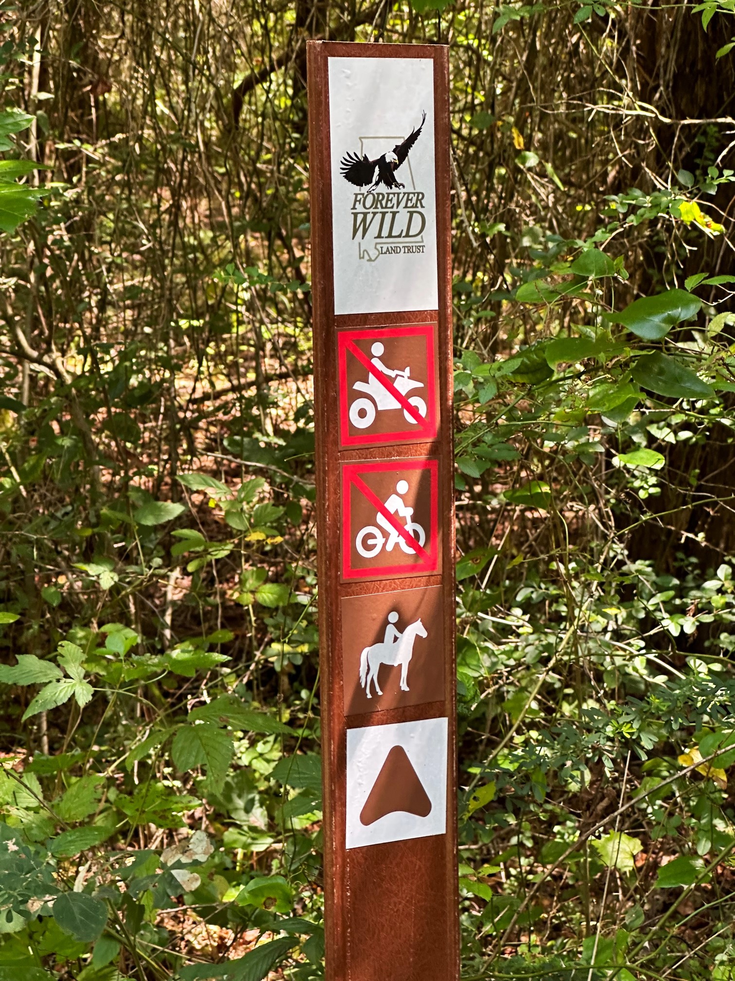 MidAugust 2023 First Time Visit to Forever Wild Shoal Creek Nature