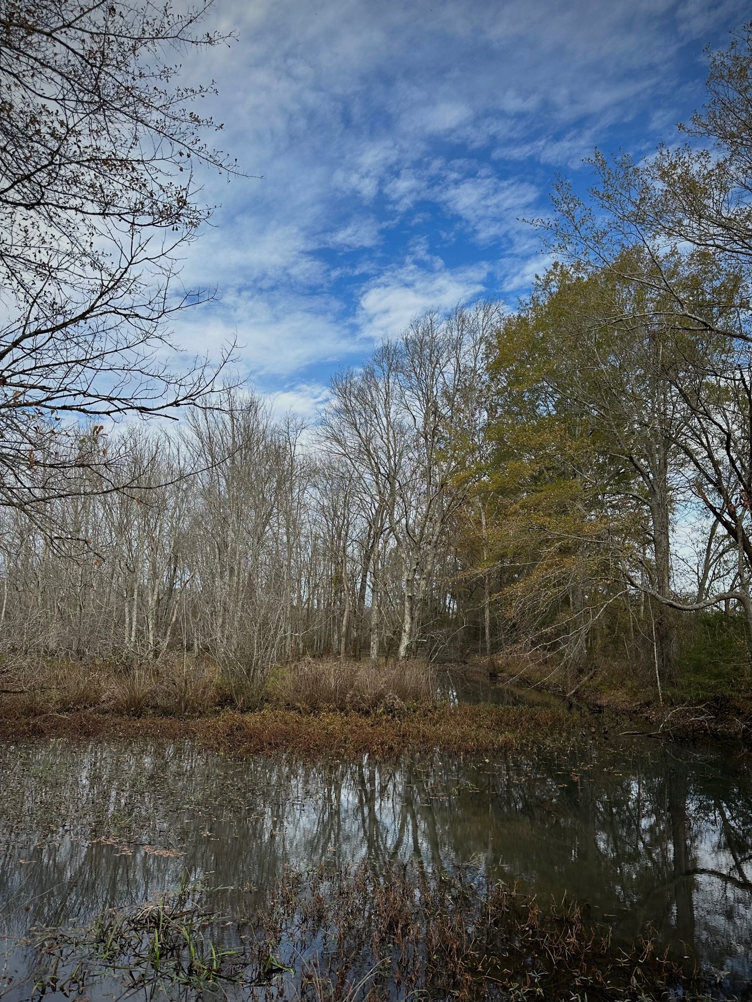 Hidden Spring: Flowing Strong During Extreme Drought! - Steve Jones ...