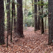 Flint Creek Trail