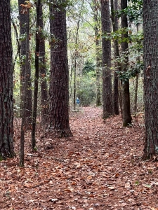 Flint Creek Trail