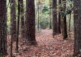 Flint Creek Trail