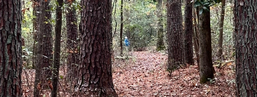 Flint Creek Trail