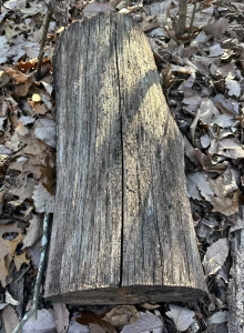 LGSP