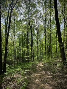 Monte Sano