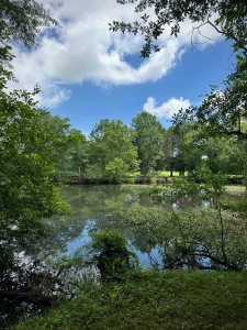 Jobala Pond 