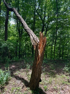 Monte Sano 