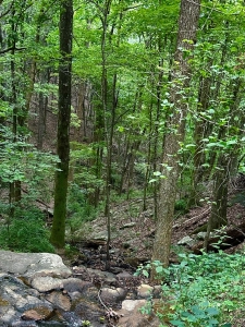Monte Sano