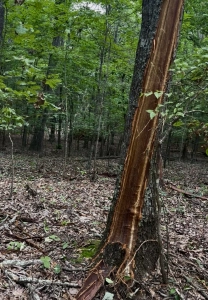Monte Sano