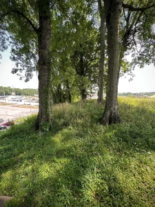 Florence Mounds