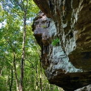 Green MNP