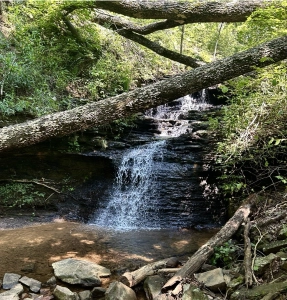 Green Mountain