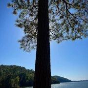 Lake Gunstersville SP