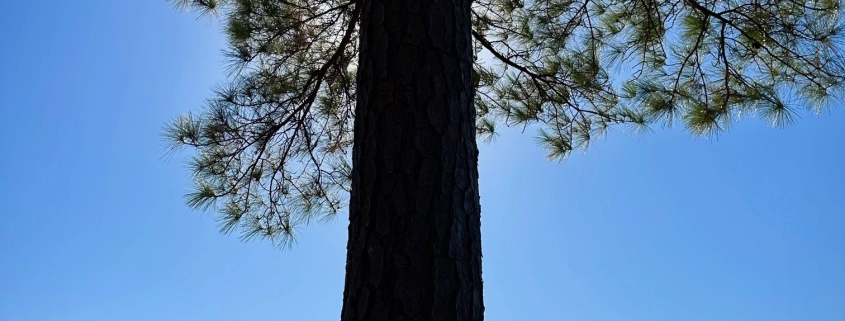 Lake Gunstersville SP