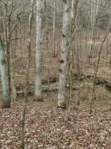 SCP