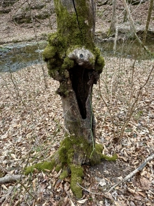 SCP