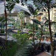 Gaylord