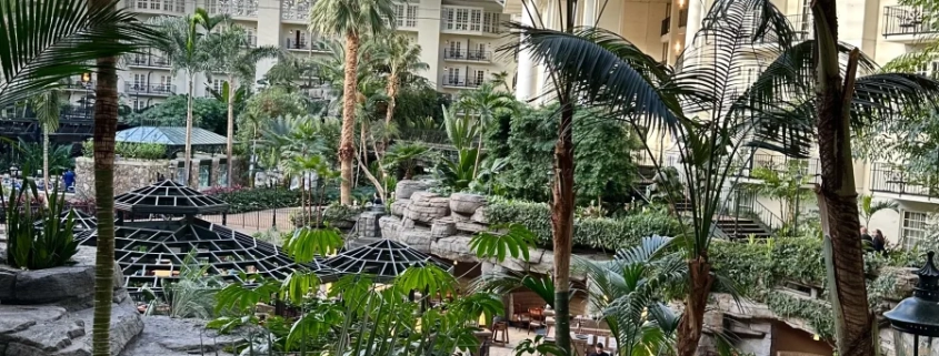 Gaylord