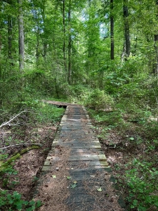 Lake GSP
