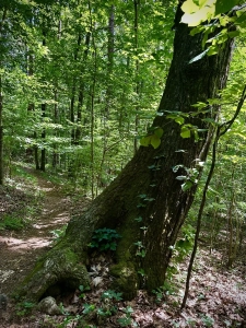 Lake GSP