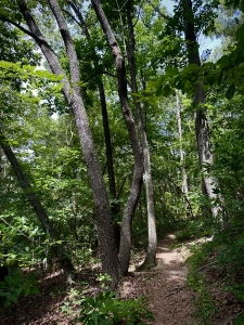Lake GSP
