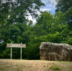 Lake GSP