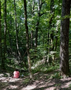 Monte SSP