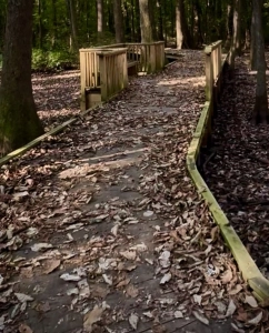 Beaverdam